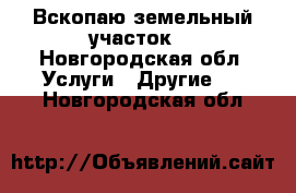 Вскопаю земельный участок  - Новгородская обл. Услуги » Другие   . Новгородская обл.